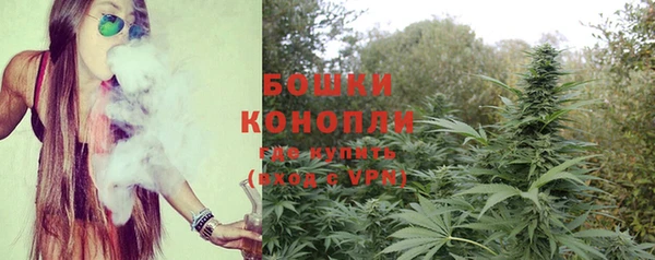 Альфа ПВП Белокуриха